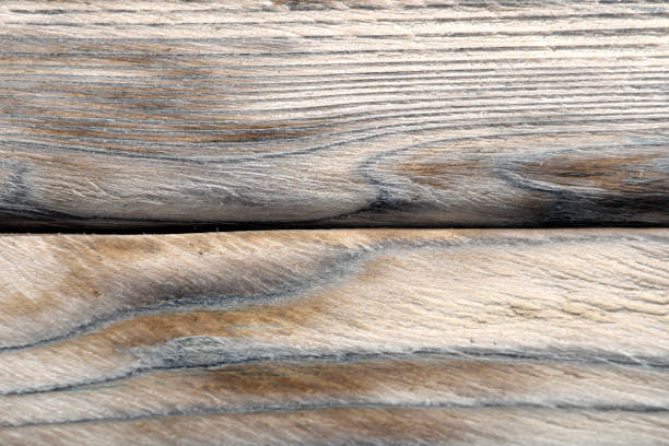 art background from old wooden planks in white