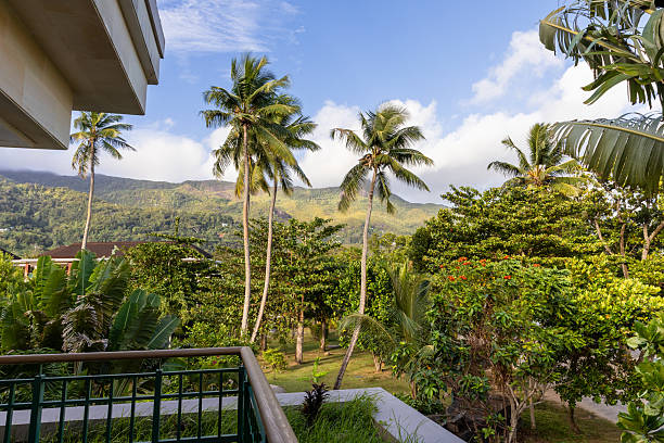 istock Serene view from a balcony showcasing lush tropical vegetation 2202936045