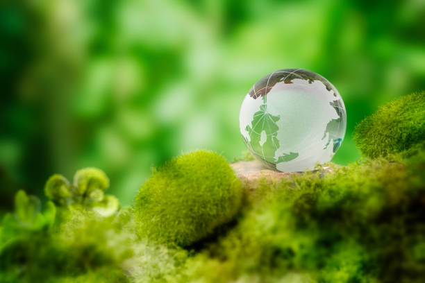 istock Glass globe on green moss in nature concept for environment and conservation. 2202937457