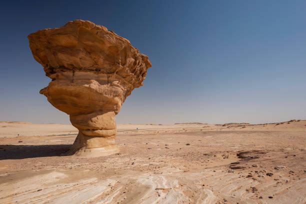The rock tower's unique mushroom shape is a testament to the power of wind and water over millennia. The way the pale sandstone stretches up to form a cap-like top. The surrounding desert adds to the scene, the golden sand stretching for miles, and the stark blue sky above makes the rock stand out like an ancient guardian of this vast land.