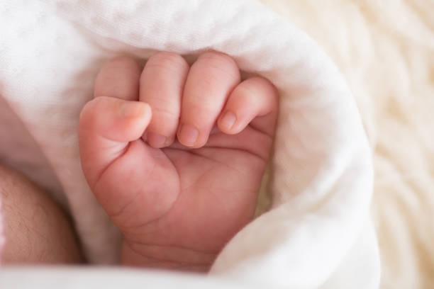 istock Little tiny delicate newborn human baby hands close up 2202940854