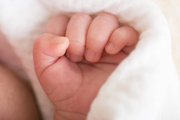 istock Little tiny delicate newborn human baby hands close up 2202940881
