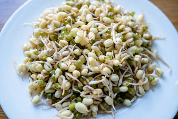 Closeup view of beans sprout on plate