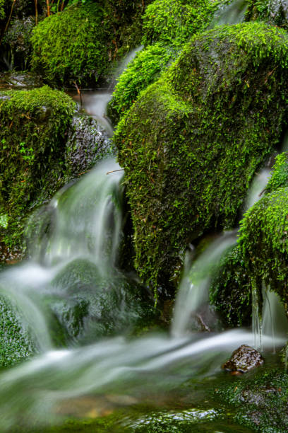istock One of the several beautiful waterfalls at Silver Falls State Park on Oregon. 2202950091