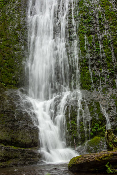 istock One of the several beautiful waterfalls at Silver Falls State Park on Oregon. 2202950182