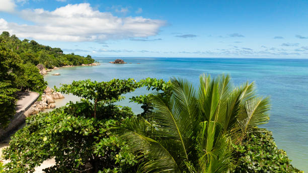 istock Lush tropical trees overlooking a serene turquoise bay. Praslin, Seychelles. 2202950375