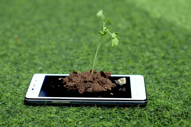 Coexistence of technology and nature.