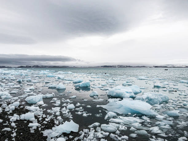 The image captures a breathtaking view of scattered icebergs and floating ice chunks in the frigid waters of Antarctica. The icy landscape stretches across the horizon, creating a stark contrast against the dark, cold waters. The overcast sky adds to the dramatic and serene atmosphere, highlighting the vastness and remoteness of this frozen wilderness.