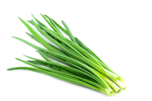 istock freshly cut green onions in a bunch on a white background, close-up 2202960367