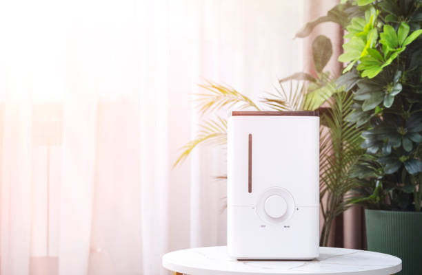 istock Working home humidifier in modern apartment with house plants 2202967000