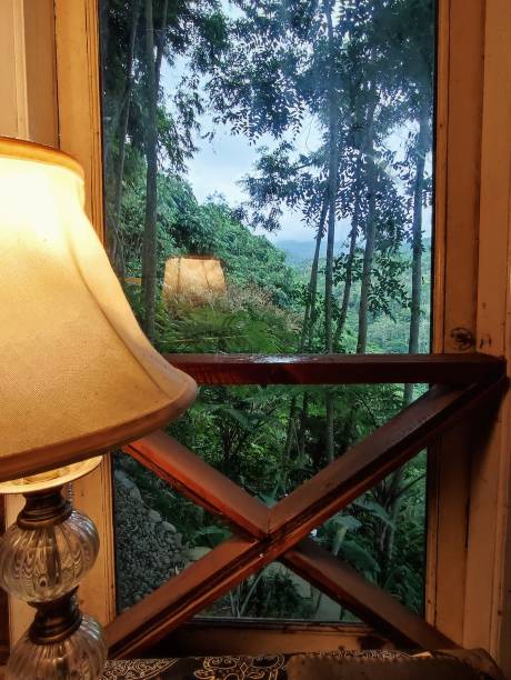istock Beautiful day indoor window interior decoration view 2202969340
