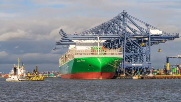 Large gantry cranes and container ship - port of Rotterdam - Maasvlakte