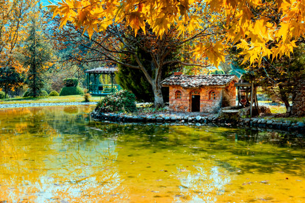 istock Open areas include parks, gardens, botanical ponds, artificial water pools, open areas suitable for weekend activities, trees, green vegetation, landscaping, walking paths. 2202970755