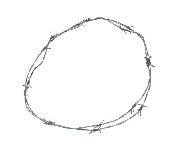 istock Shiny metal barbed wire isolated on white 2202972257