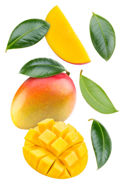 istock Fresh organic mango with leaves isolated 2202979729