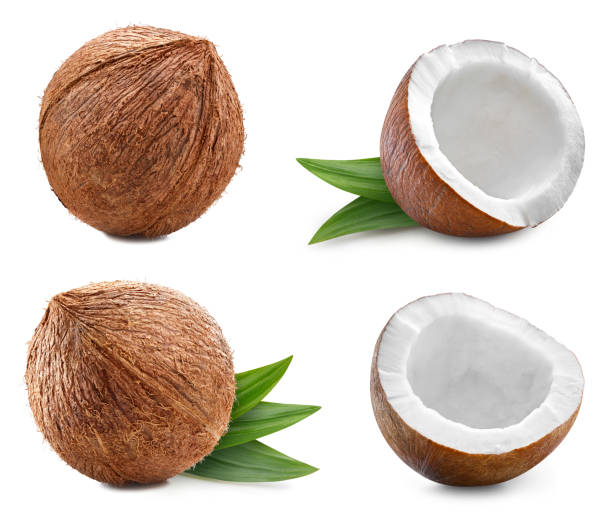 istock Coconut isolated on white backgroundCoconut isolated on white background 2202981711