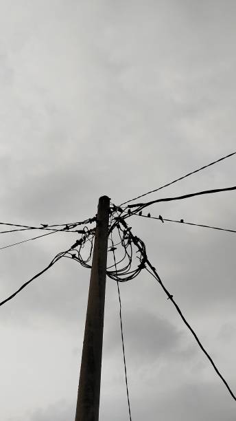 istock electric pole with flock of birds on the cable 2202981841