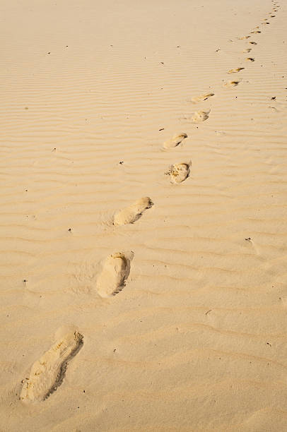 istock Cloudy Day at the Desert of Maine 2202981864