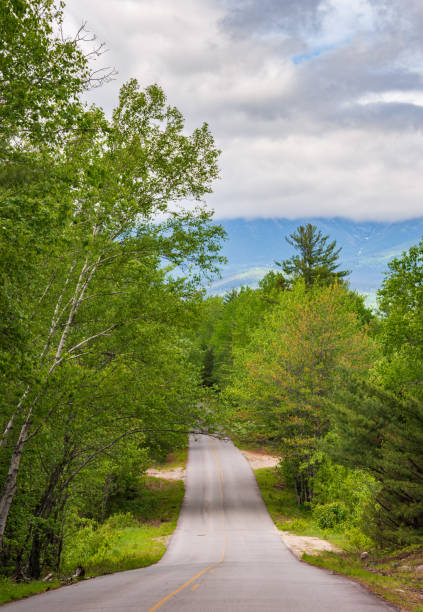 istock Road into Maine North Woods 2202982887