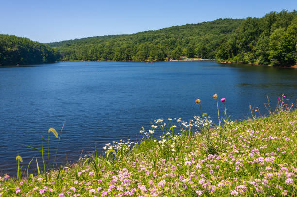 istock Cunningham Falls State Park, State park in Maryland 2202983773