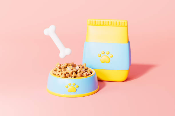 3d rendering pet food and bone