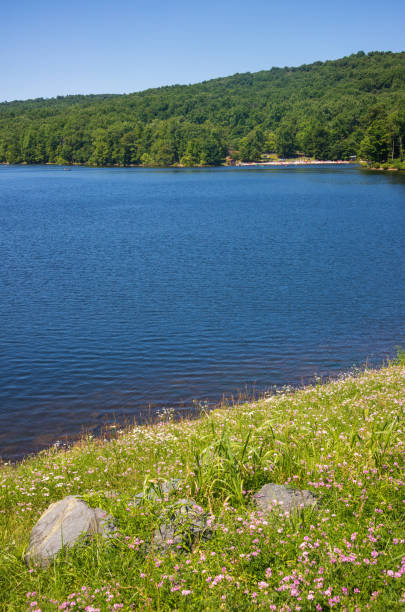 Cunningham Falls State Park, State park in Maryland
