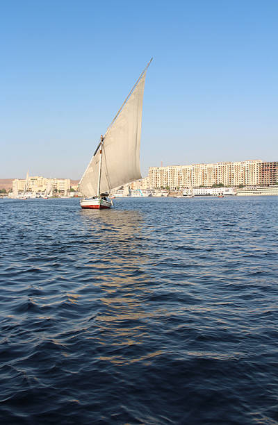 istock Felucca sailing on Nile River during sunset 2202990847