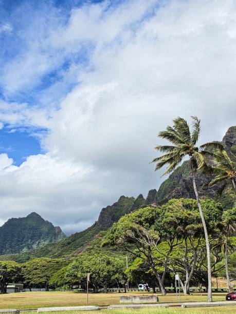 istock Tropical Paradise with Mountains and Swaying Palms 2202991409
