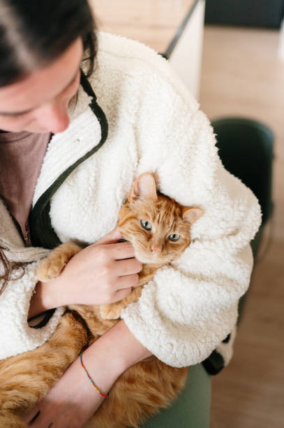 istock Woman stroking a ginger cat 2202992799