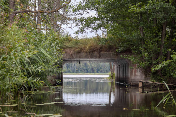 istock a narrow river flowing through a tunnel-like structure surrounded by trees and bushes. 2202997433