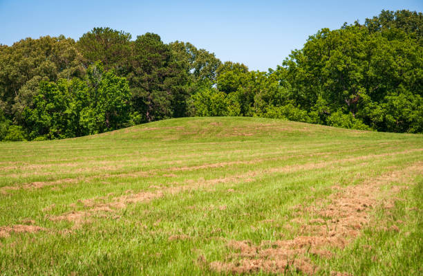 istock Emerald Mound in Mississippi on a Clear Day 2202998058