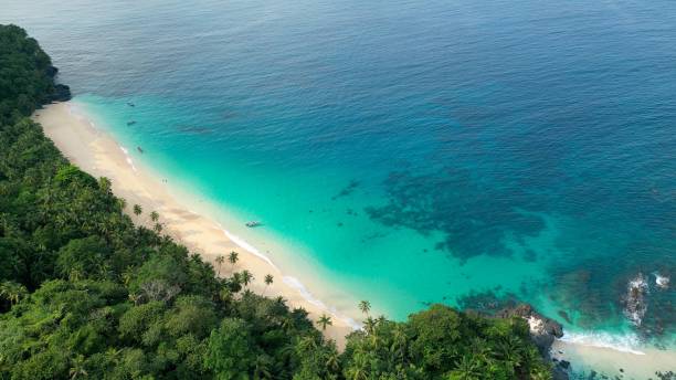 istock Tropical Beach with Turquoise Waters 2202999275