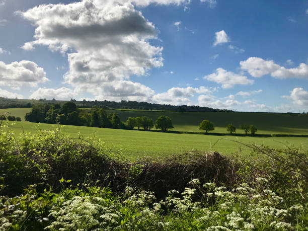 istock The English countryside 2203002261