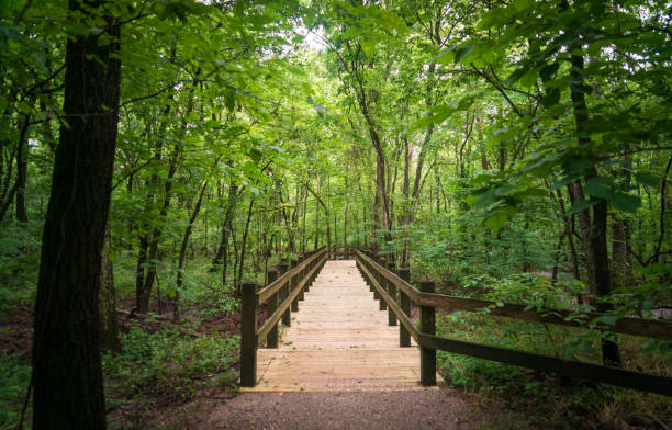 istock Boardwalk at George Washington Carver National Monument 2203002293