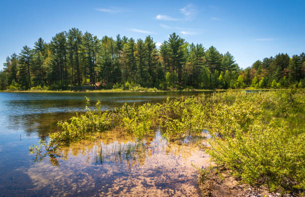 istock Twelvemile Beach at Pictured Rocks National Lakeshore 2203002906
