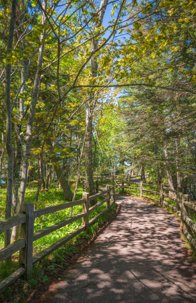 istock Pictured Rocks National Lakeshore 2203004314