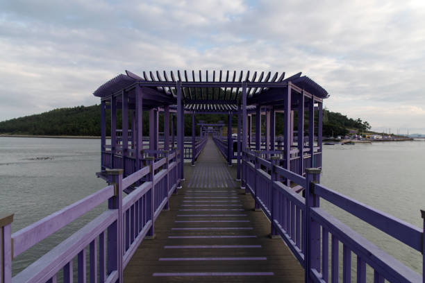 istock purple footbridge on the sea 2203008070
