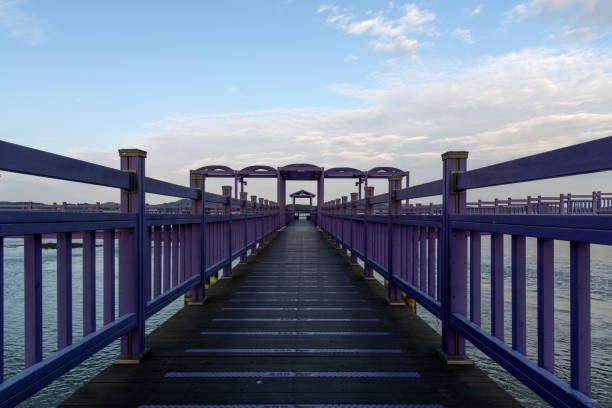 istock purple footbridge on the sea 2203008178