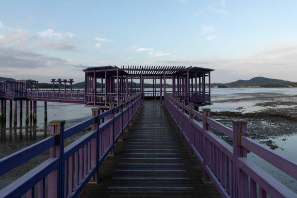 istock purple footbridge on the sea 2203008571