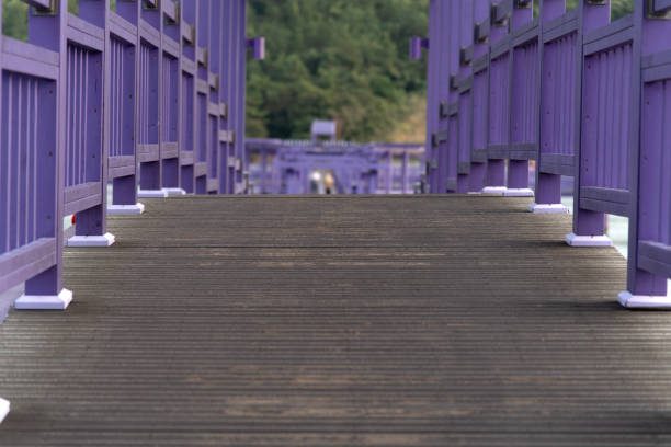 architecture and engineering