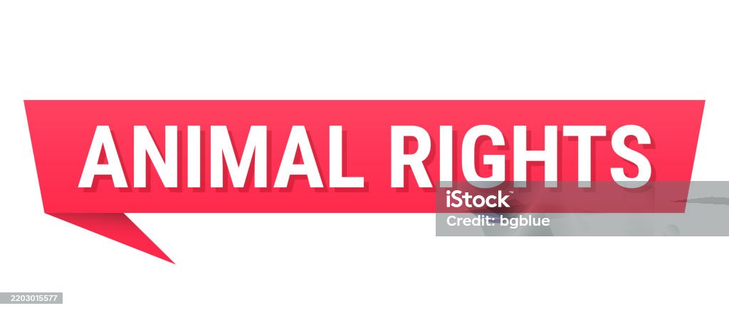 Transparent Background Animal Rights Animal Rights Red Speech Bubble On Blank Background Stock Illustration ...