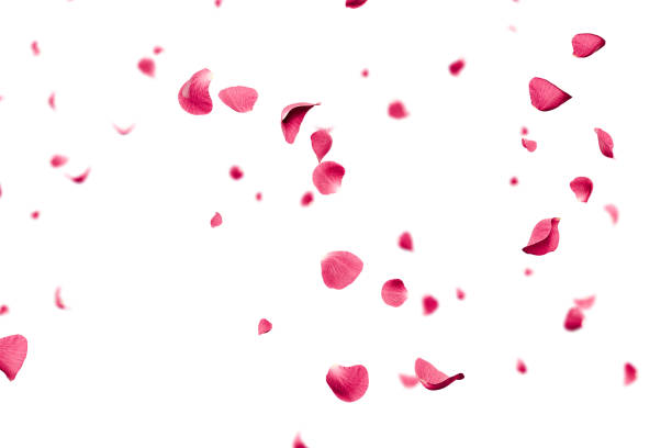 A flora colour