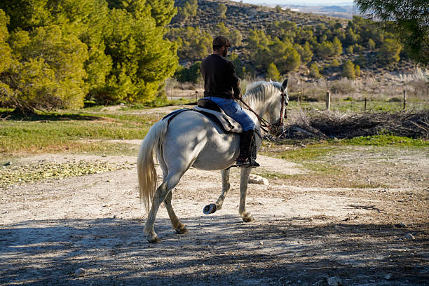istock trotting through the countryside 2203023503