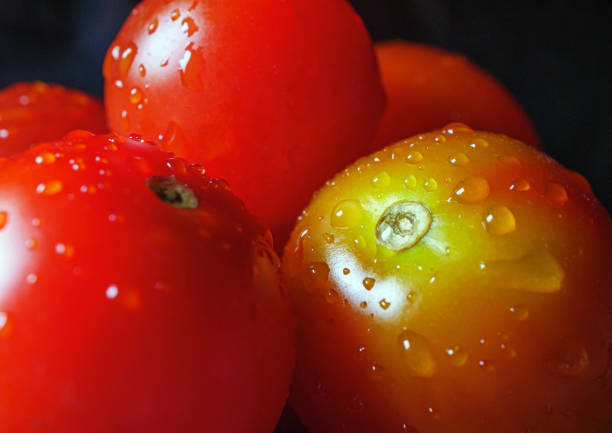 Macro shot of  tomatoes surface with water drops, macro food