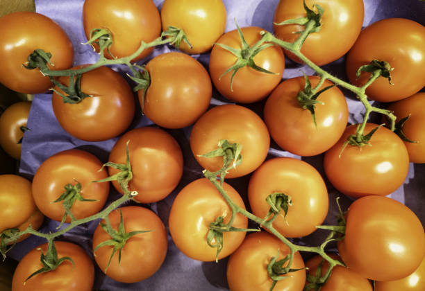 Supermarket shopping grocery vegetables tomato