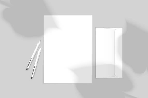istock Vector mockup of A4 paper with envelope, pen and palm leaves shawows 2203028005
