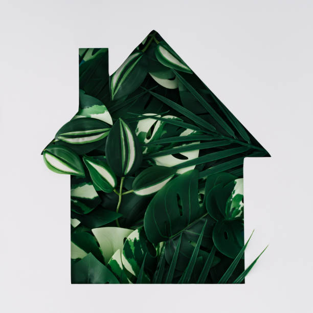 istock Tropical green leaves visible through a house shaped gap on white background. Minimal eco house concept. Flat lay style. Top view banner. 2203028052