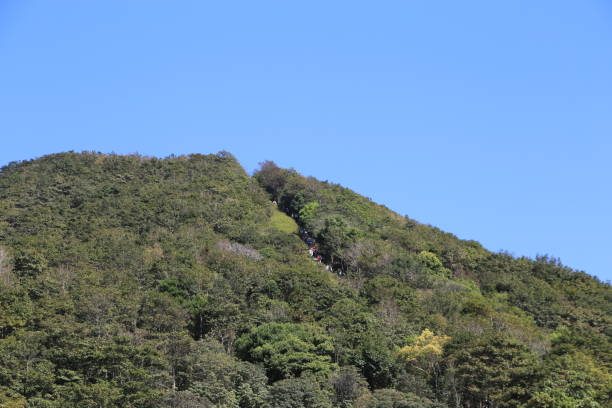 istock A hillside with lush green trees, featuring people climbing up the mountain's side on a sunny day in the autumn season 2203029441