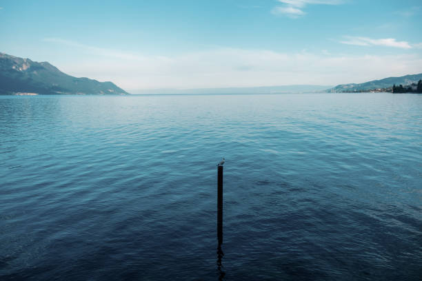 A solitary seagull perched on a post in the calm blue waters of Lake Geneva, Switzerland, with mountains and a vast sky in the background.