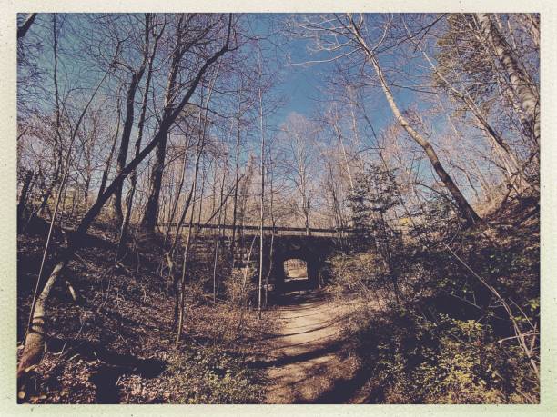 istock Winter Wooded Path leads to an Underpass 2203032191